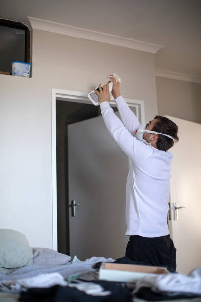 Best Mold Odor Removal Services  in Prairie Du Chien, WI