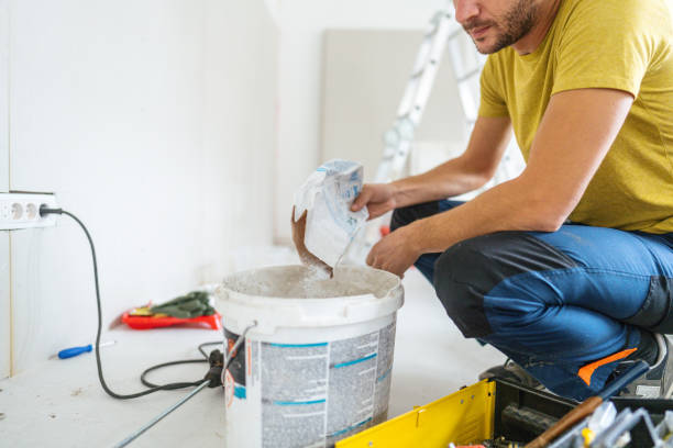 Best Attic Mold Removal  in Prairie Du Chien, WI