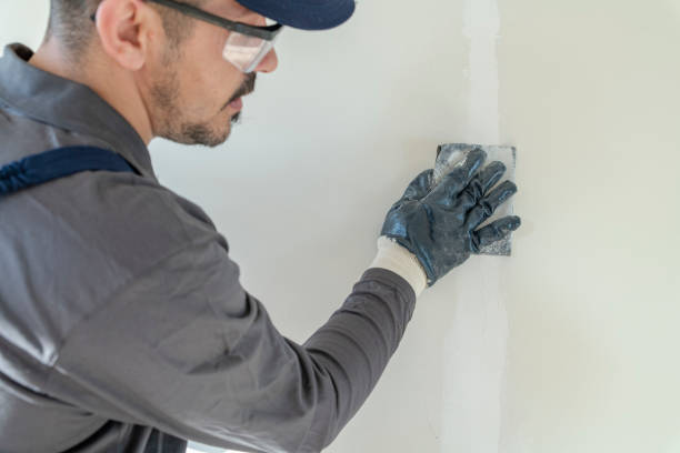 Best Dehumidification Services  in Prairie Du Chien, WI