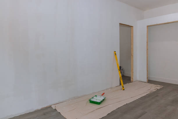 Best Black Mold Removal  in Prairie Du Chien, WI