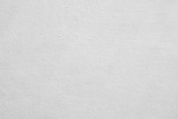 Professional Mold Removal in Prairie Du Chien, WI