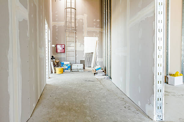 Best Commercial Mold Inspection  in Prairie Du Chien, WI